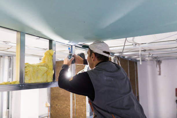 Types of Insulation We Offer in Lillian, AL