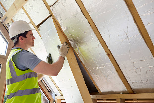 Best DIY Insulation Kits and Guidance in Lillian, AL